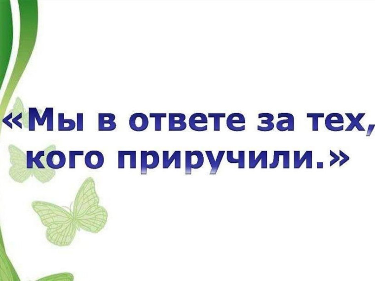 Мы в ответе за тех, кого приручили.